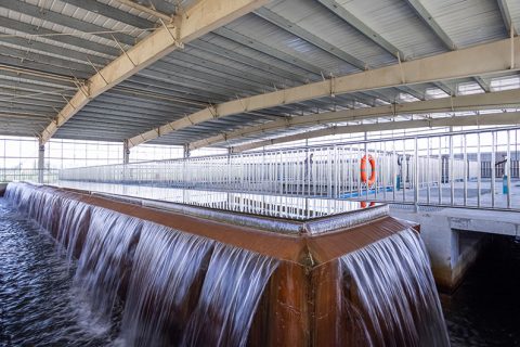 怎么保养多功效微型过滤机？？？